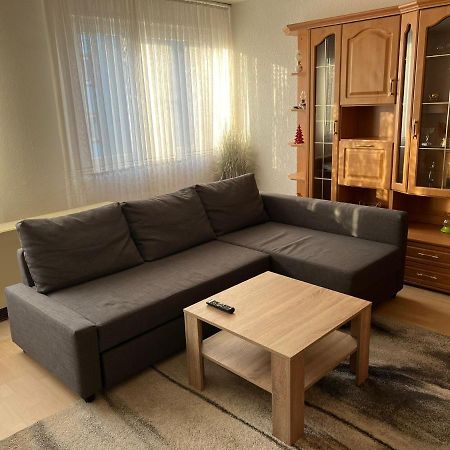 Schoene Ferienwohnung In 萨尔布吕肯 外观 照片